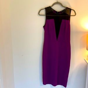 Vibrant Kenneth Cole Formfitting Dress